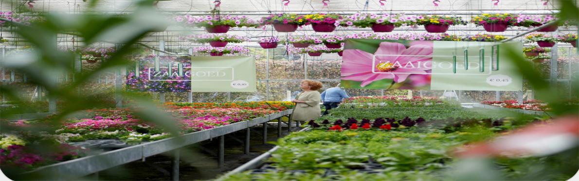 Plantenkwekerij Sint-Jansberg