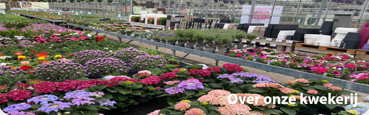 Plantenkwekerij Sint-Jansberg <p>Plantenkwekerij Sint-Jansberg</p>